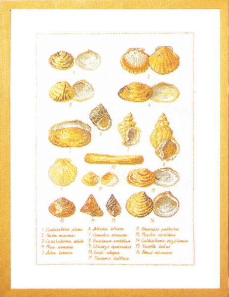 Embroidery Kit Seashells 41 x 56 cm / 16.14 x 22.05 in 5676