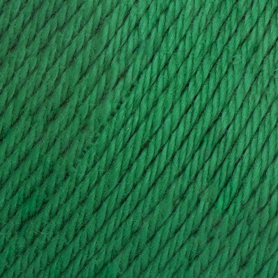 Must-have 8/4 087 Amazon