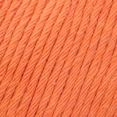 YAC Epic 8/8 018 Bronze