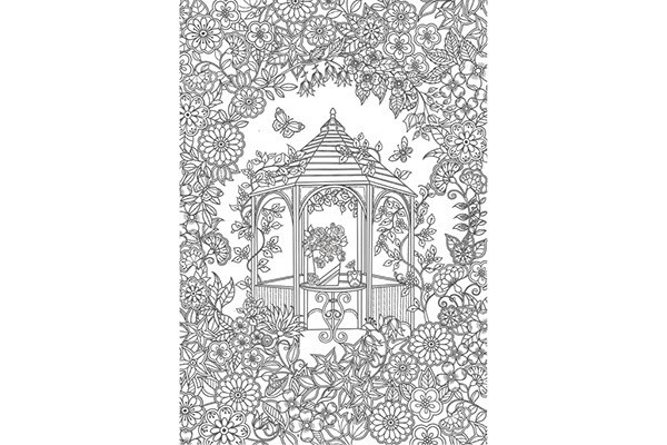 Maleark A4 til voksne Fugle, 6 ark