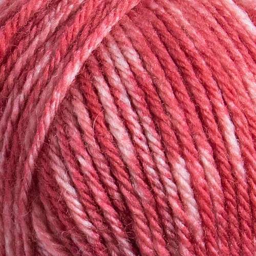 Raggi 100g 15205 Rose hip melange