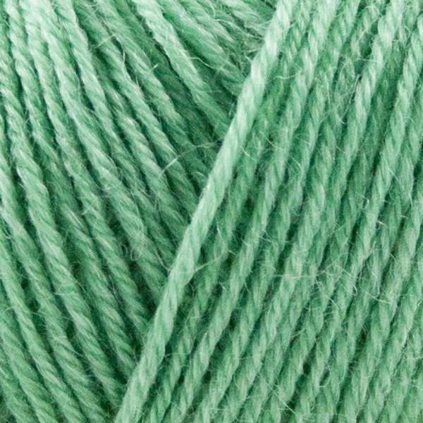 Onion Nettle Sock Yarn 1021