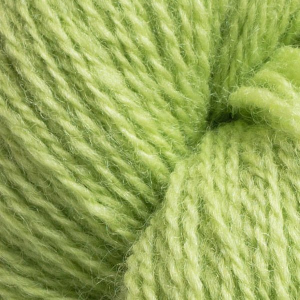 Järbo 2 tr Ull 74146 Young leafs