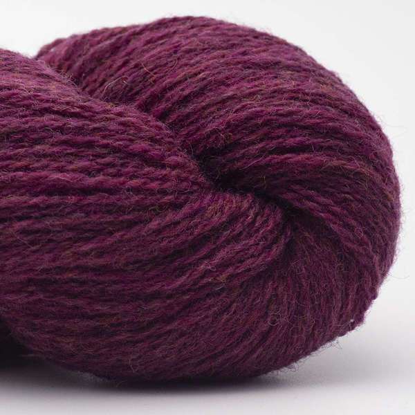 Bio Shetland 31 Plum
