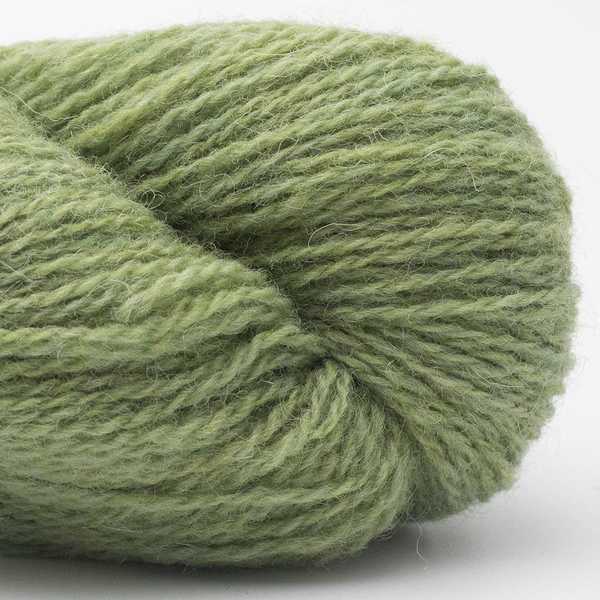 Bio Shetland 11 Linden Green