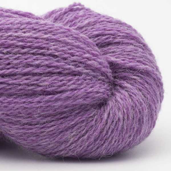 Bio Shetland 68 Freesia