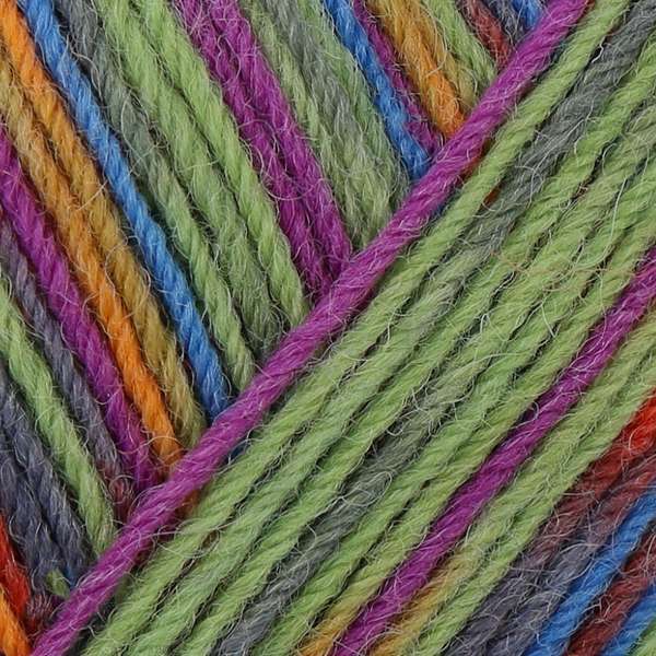 Regia 4-ply Setesdal Color