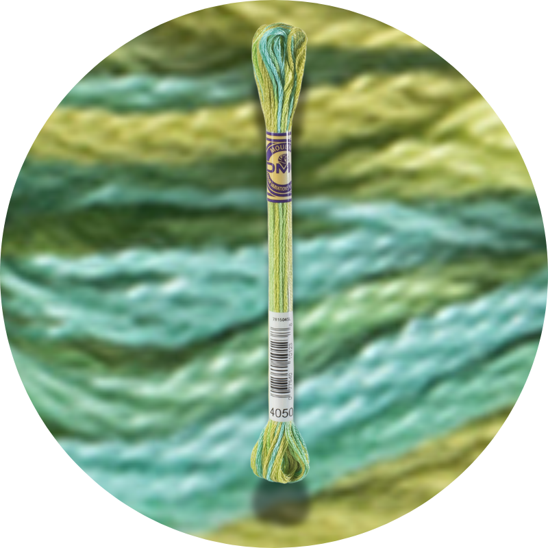 DMC Mouliné Color Variations Embroidery Thread 4050