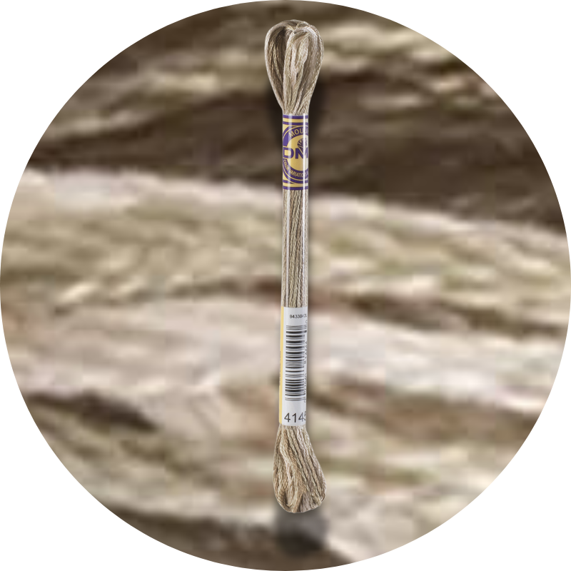 DMC Mouliné Color Variations Embroidery Thread 4145