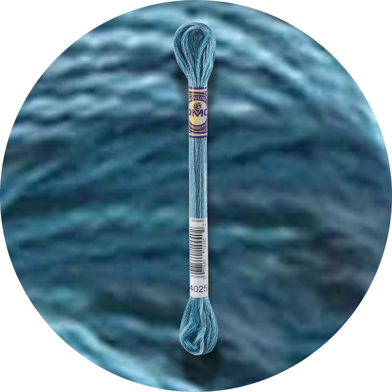 DMC Mouliné Color Variations Embroidery Thread 4025