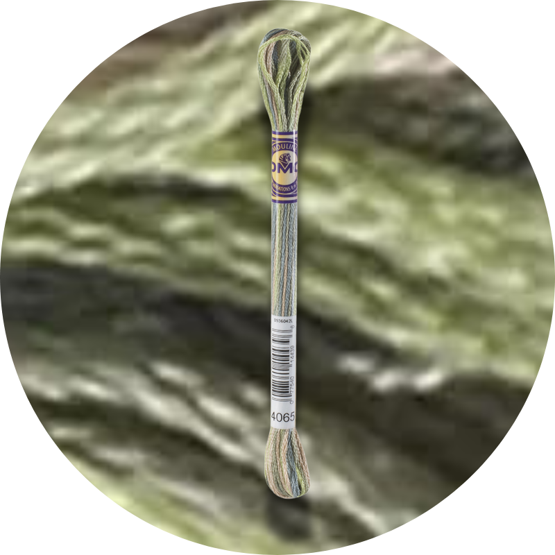 DMC Mouliné Color Variations Embroidery Thread 4065