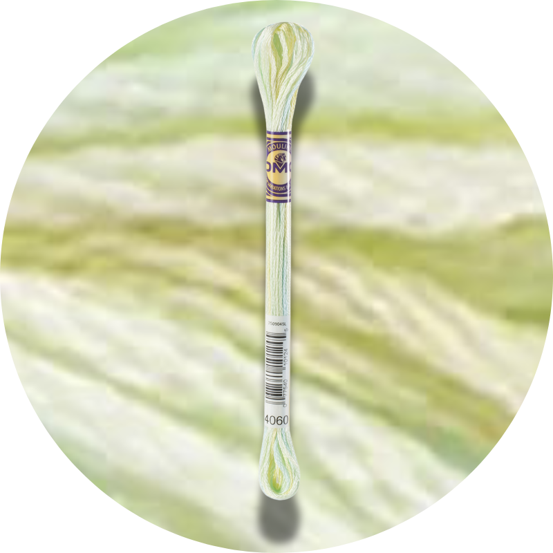 DMC Mouliné Color Variations Embroidery Thread 4060