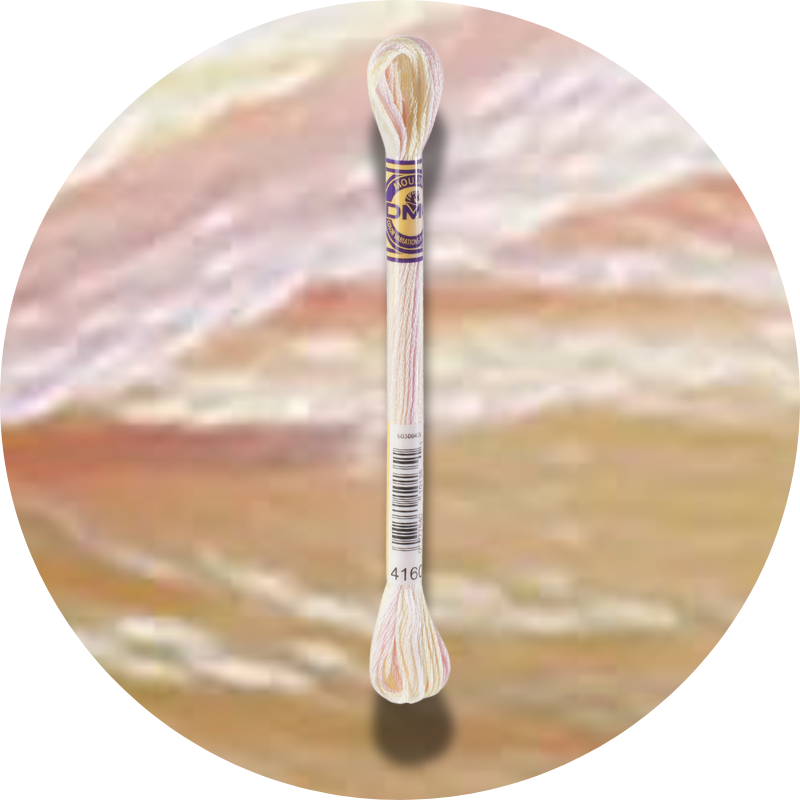 DMC Mouliné Color Variations Embroidery Thread 4160