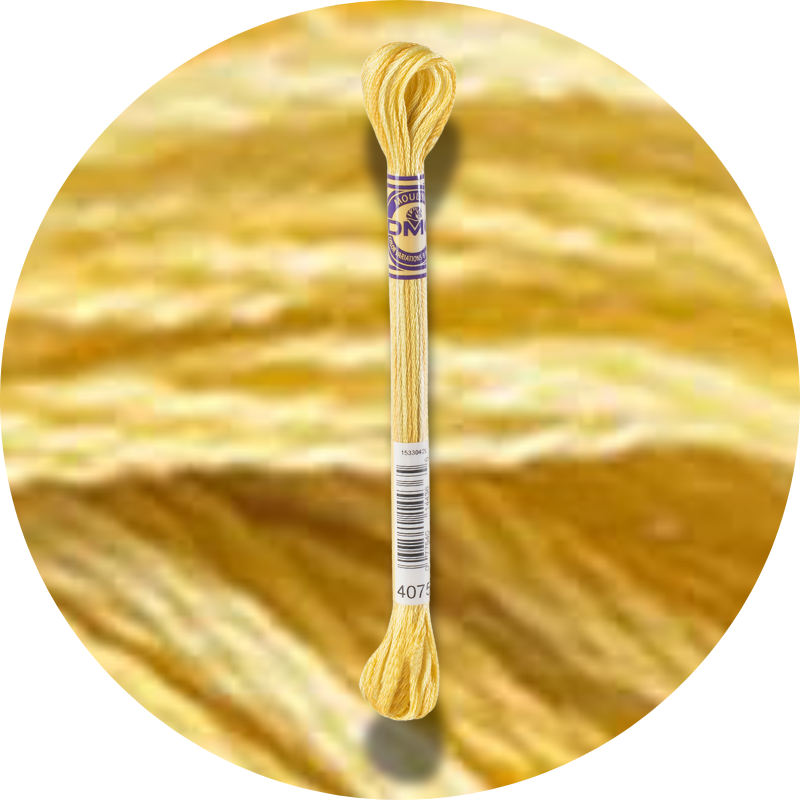 DMC Mouliné Color Variations Embroidery Thread 4075
