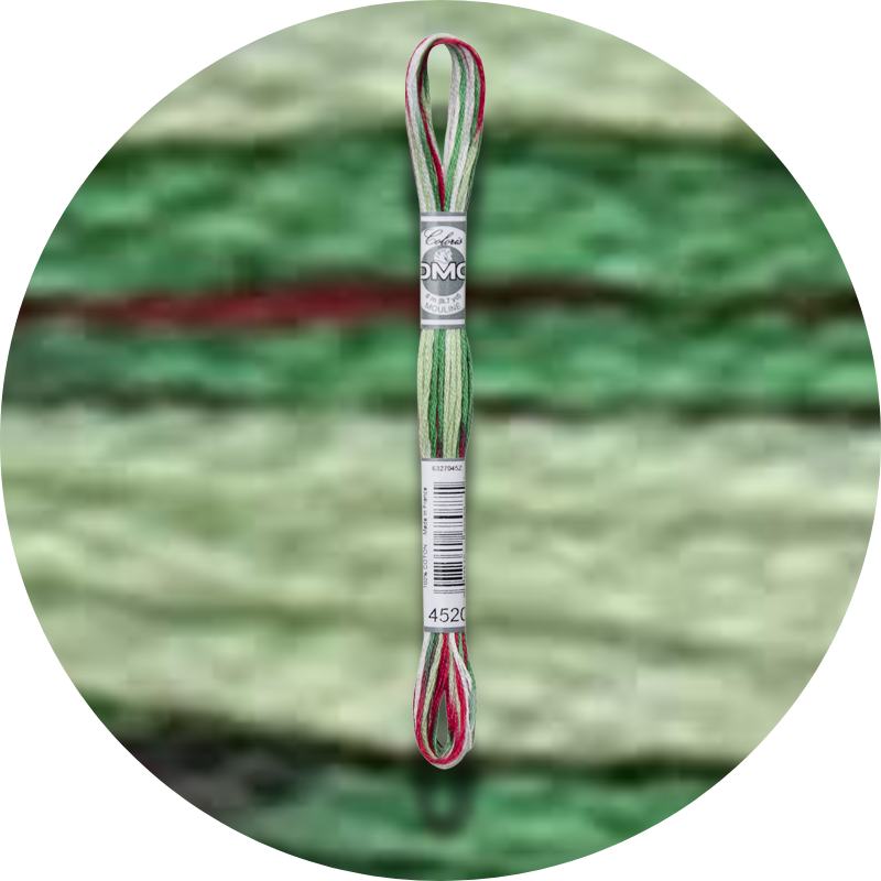 DMC Mouliné Coloris Embroidery Thread 4520