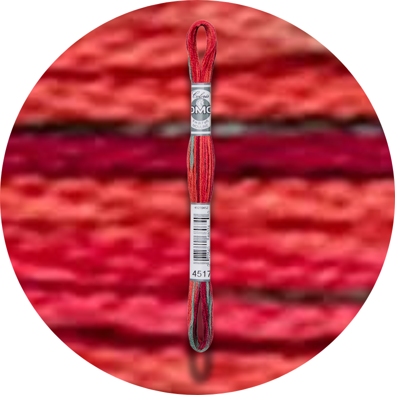DMC Mouliné Coloris Embroidery Thread 4517