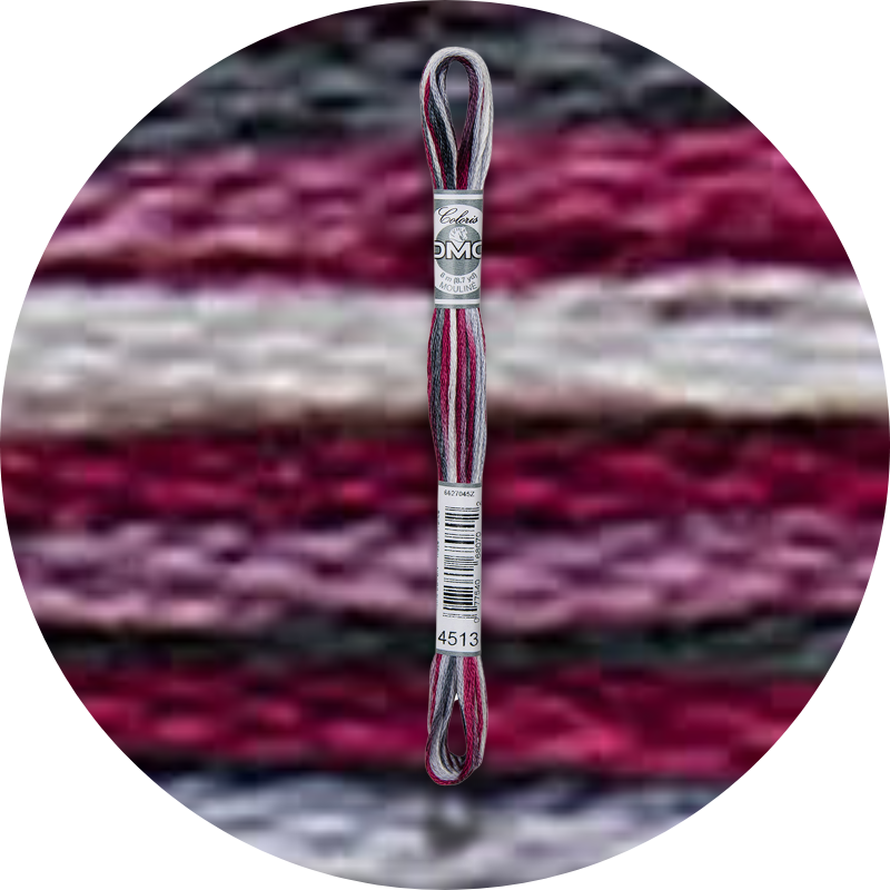 DMC Mouliné Coloris Embroidery Thread 4513