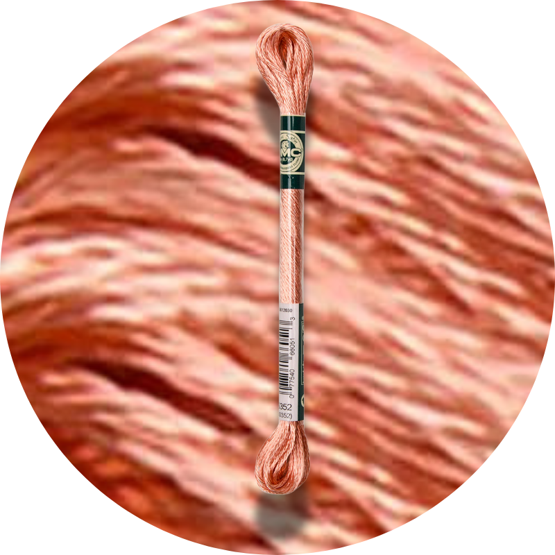 DMC Mouliné Satin Embroidery Thread S352