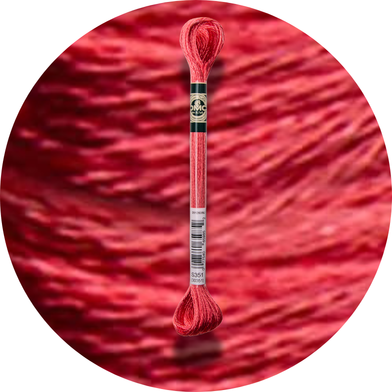 DMC Mouliné Satin Embroidery Thread S351