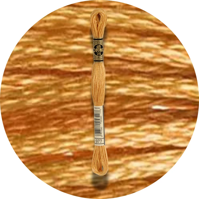 DMC Mouliné Spécial 25, Red/Yellow/Orange Shades 0977
