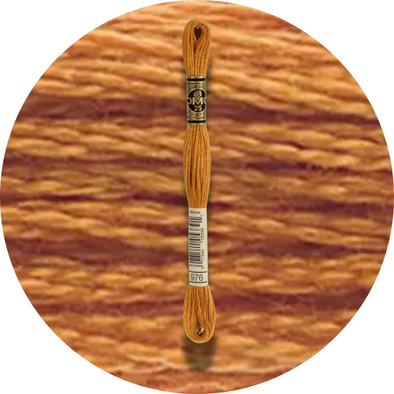 DMC Mouliné Spécial 25, Red/Yellow/Orange Shades 0976