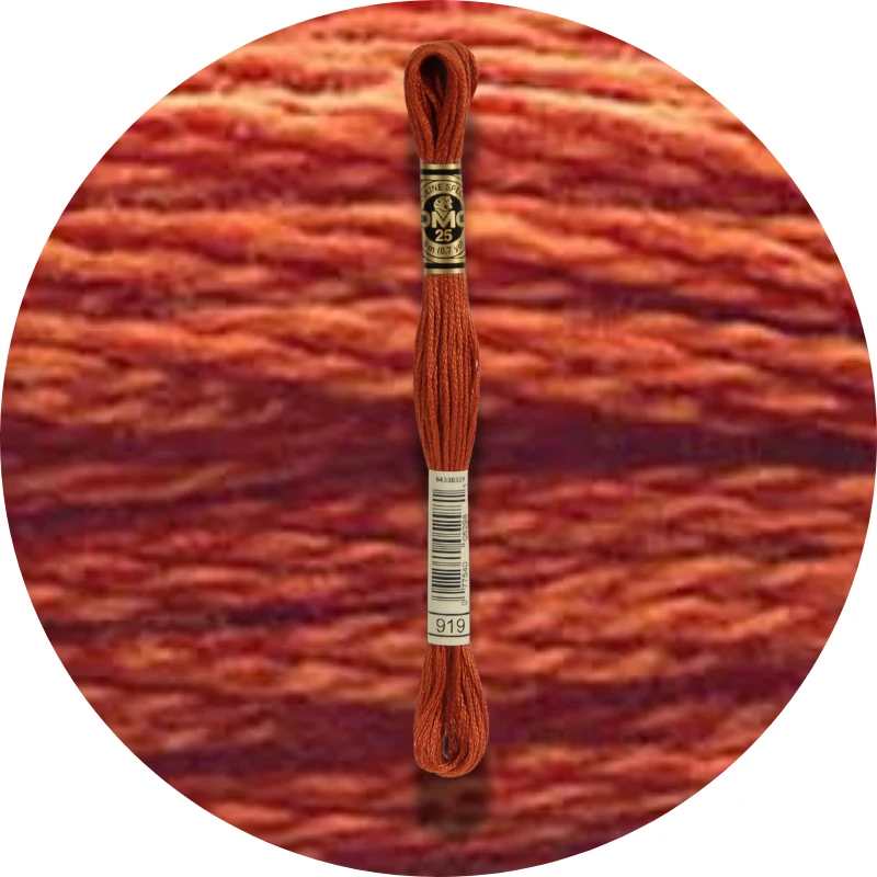 DMC Mouliné Spécial 25, Red/Yellow/Orange Shades 0919