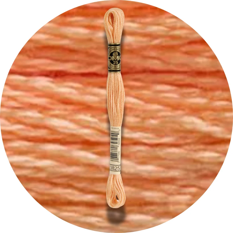 DMC Mouliné Spécial 25, Red/Yellow/Orange Shades 3825