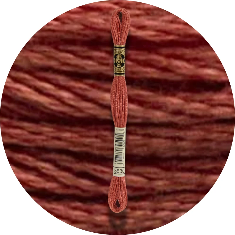 DMC Mouliné Spécial 25, Red/Yellow/Orange Shades 3830