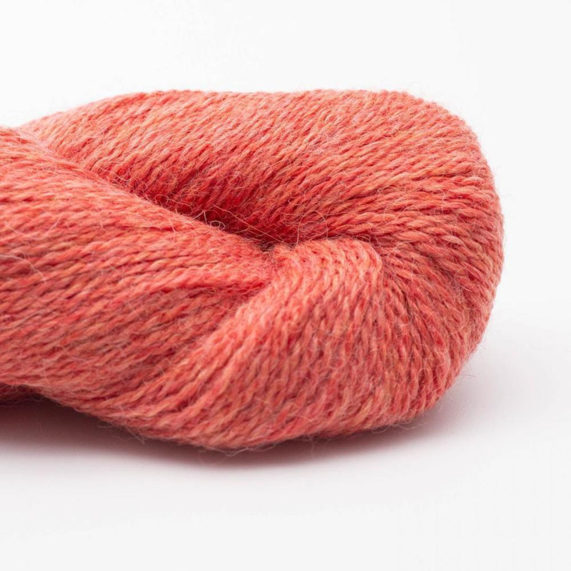BC Garn Babyalpaca 10/2 RAS 111 Salmon RAS