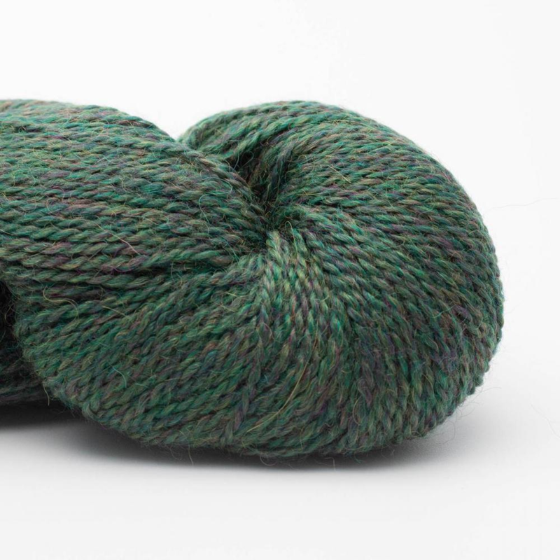 BC Garn Babyalpaca 10/2 RAS 117 Forest Green Heather RAS