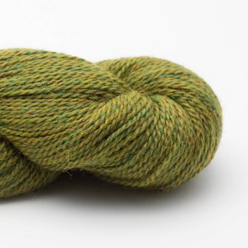 BC Garn Babyalpaca 10/2 RAS 119 Apple Green Heather RAS