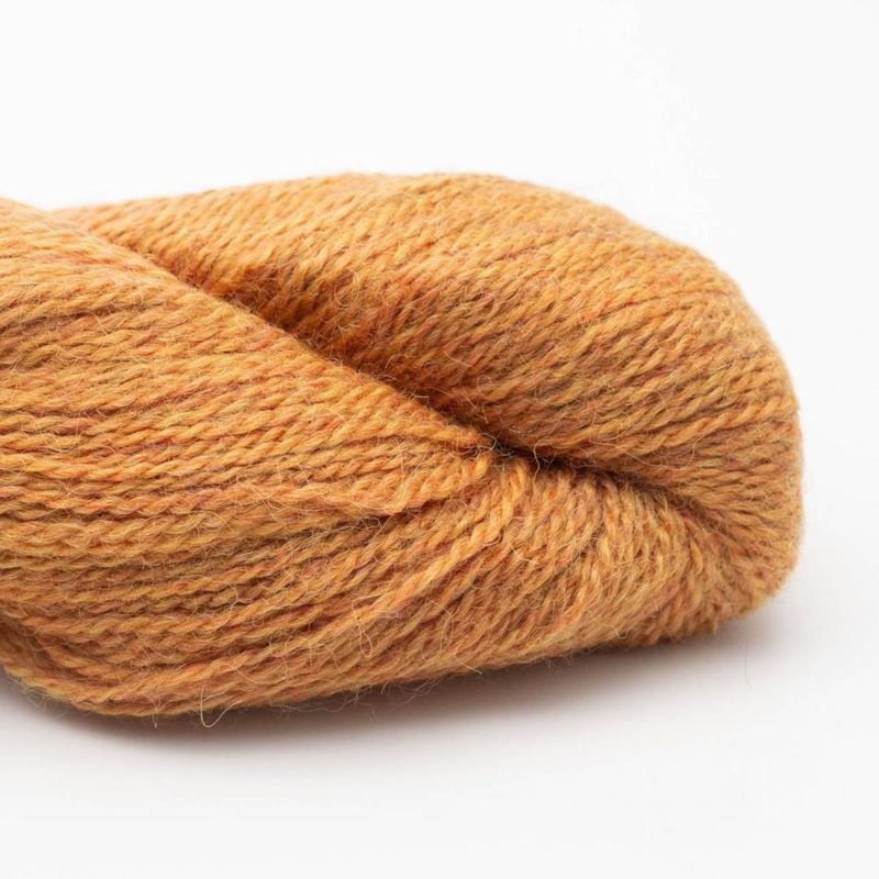 BC Garn Babyalpaca 10/2 RAS 61 Amber RAS