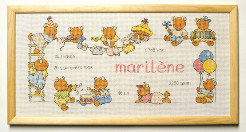 Embroidery Kit Happy Friends 40 x 20 cm / 16 x 8 in R 5378