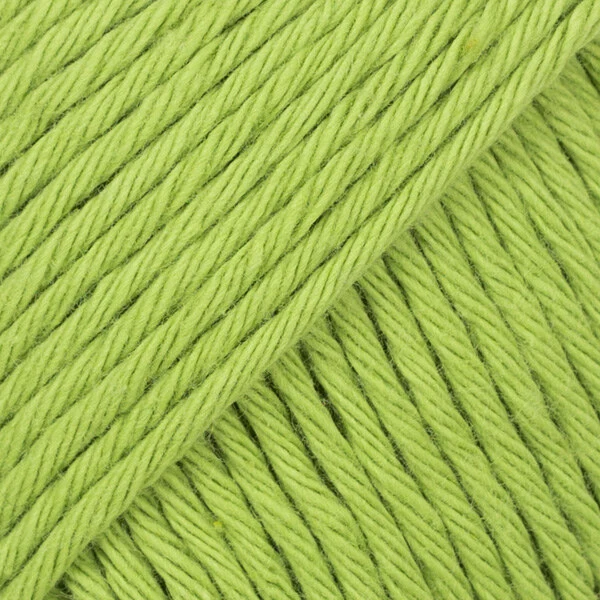 DROPS Paris 39 Wasabi
