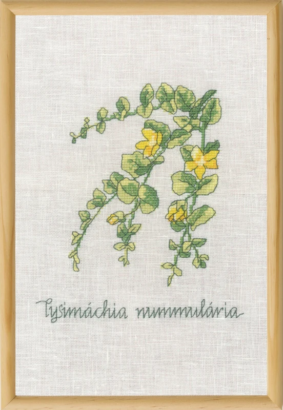 Embroidery Kit Money Leaf R5799 20 x 30 cm / 8 x 12 in