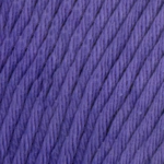 YAC Epic 8/8 057 Clematis