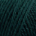 Raggi 100g 15172 Forest green