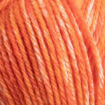 Raggi 100g 15207 Rhubarb melange