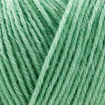 Onion Nettle Sock Yarn 1021