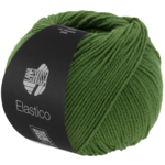 Lana Grossa Elastico 192 Leaf green