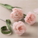 Mini DIY Kit Crepe Paper - Carnations