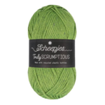 Scheepjes truly scrumptious 326 Matcha Chiffon Cake