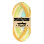 Scheepjes Arcadia 915 Tropical (Striped)