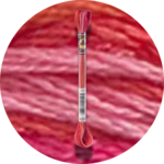 DMC Mouliné Color Variations Embroidery Thread 4200