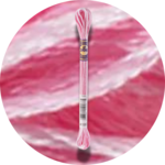 DMC Mouliné Color Variations Embroidery Thread 4180