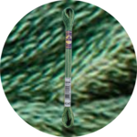 DMC Mouliné Color Variations Embroidery Thread 4045