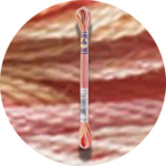 DMC Mouliné Color Variations Embroidery Thread 4120