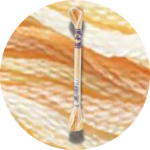 DMC Mouliné Color Variations Embroidery Thread 4090