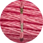 DMC Mouliné Spécial 25, Red/Yellow/Orange Shades 3833