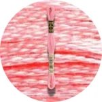 DMC Mouliné Spécial 25, Red/Yellow/Orange Shades 0894